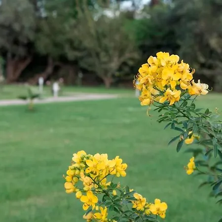 Сasa de vacaciones Casa Di Varco 1
